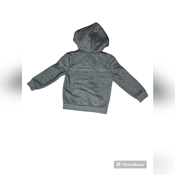 Hudson Boys 3T Hoodie Rose Stitching Gray - Picture 3 of 4